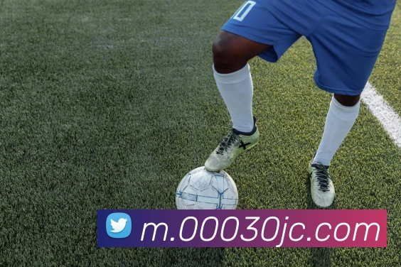 问鼎国际官网发展历程